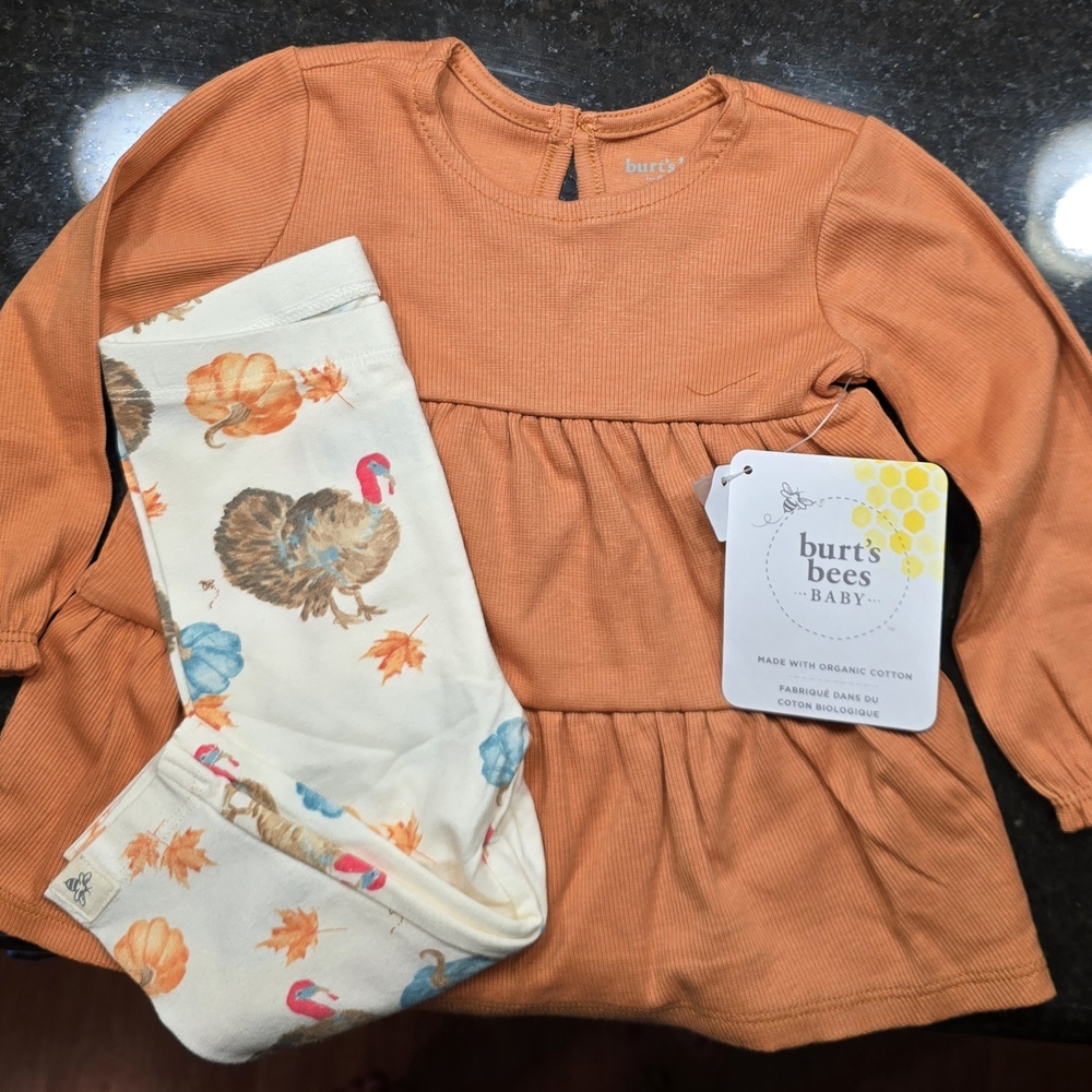 Burt's Bees Baby Pumpkin Dress with Turkey Print Leggings